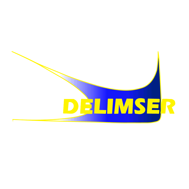 Logo Delimser grande